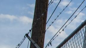 Denuncian maltrato de CBP a niños migrantes