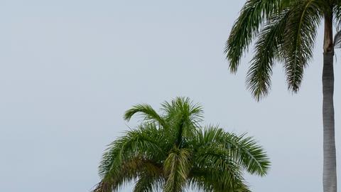 La Base Naval de Estados Unidos en Guantánamo, Cuba