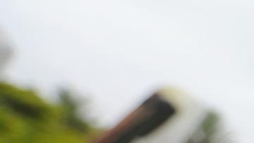 Ecuador en alerta tras derrame de diésel en las islas Galápagos