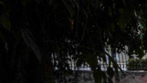 Madre de preso del 11-J en Cuba pide ante la ONU la libertad de todos los manifestantes