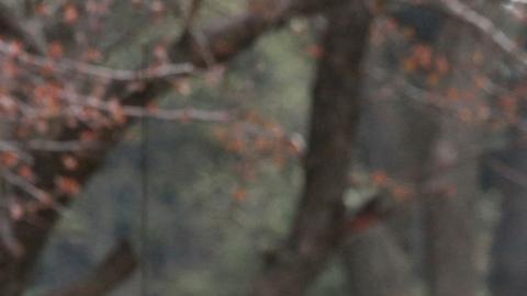 Rusia da otro ultimátum para la rendición de Mariúpol