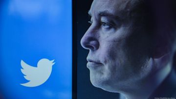 Consejero delegado de Twitter admite incertidumbre tras su compra por Elon Musk