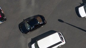 Autoridades de la Ciudad de México retiran emblemática palmera del Paseo de la Reforma