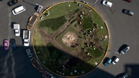 Autoridades de la Ciudad de México retiran emblemática palmera del Paseo de la Reforma