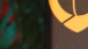 Angelique Boyer y Sebastián Rulli | Mezcalent.