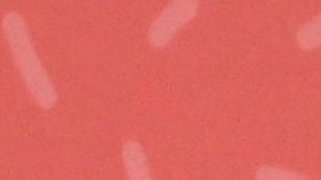 Danna Paola | Mezcalent.