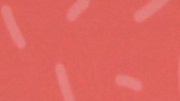 Danna Paola | Mezcalent.