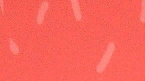 Ariadne Díaz responde si quiere dejar México después de que le robaron los espejos de su auto