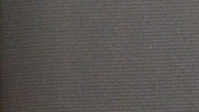 Paul Stanley en la presentación del programa "Más mascotas que humanos".