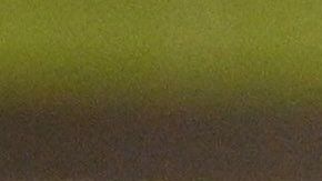 Aeropuertos y aerolíneas de EE.UU. comienzan a eliminar los mandatos de máscara después del fallo judicial