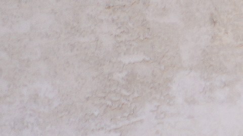En el albergue Templo Caballeros de Jesús son ayudados unos 1,200 refugiados.