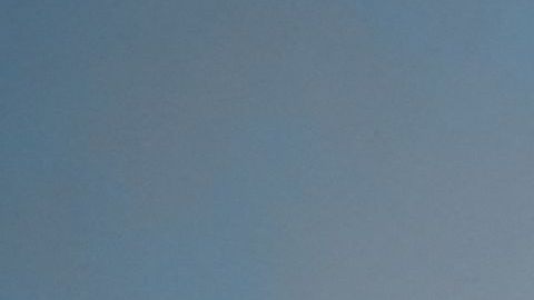 La contaminación afecta no solo a las personas con alergias sino a toda la comunidad.