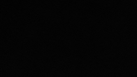 Aumenta el número de adolescentes estadounidenses detenidos que transportan inmigrantes para cruzar la frontera