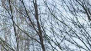 Rescatistas buscan muertos en Borodianka, Ucrania