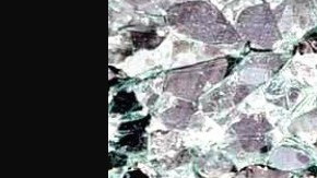 CJNG mata a 9 personas en Colima, México.