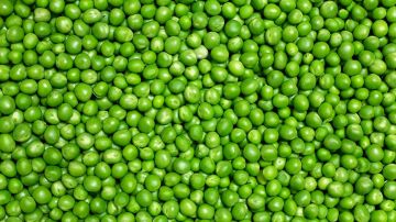 CR-Health-Inlinehero-are-peas-good-for-you-0222