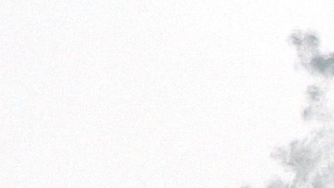 Convoy ruso es destruido tras exitosa emboscada del ejército de Ucrania