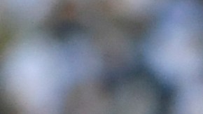 Javier 'Chicharito' Hernández.