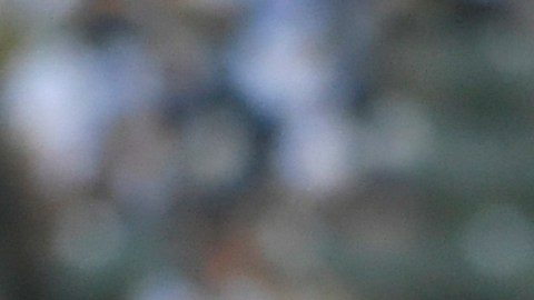 Javier 'Chicharito' Hernández.