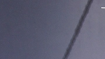 Ciro Procuna (izquierda) posa junto a su acompañante en un evento de ESPN.