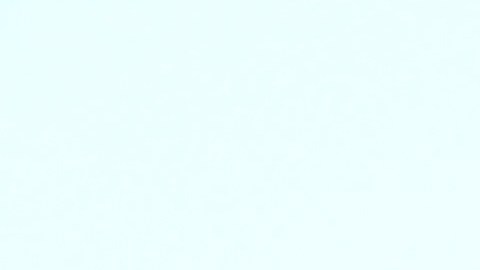 Costco muffin amapola