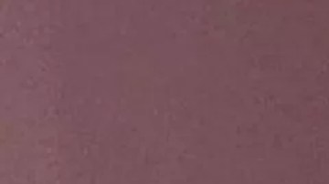 Debanhi Susana Escobar Bazaldúa