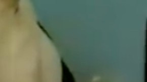 Detienen a dos mataperros en México; los cocinaban como tacos.