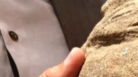 La estatua de la diosa Anat
