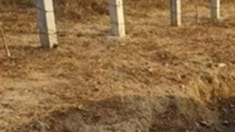 Decapitan a 5 personas en Guerrero, México.