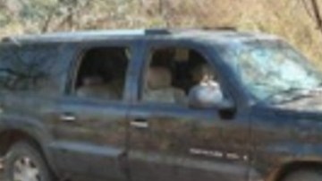 Ejército mexicano incauta arsenal, tras balacera con narcos en Michoacán.