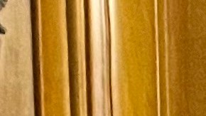 Estudian la posibilidad de lanzar una campaña para desbancar a la concejal Eunisses Hernández (Cortesía)