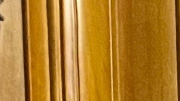 Estudian la posibilidad de lanzar una campaña para desbancar a la concejal Eunisses Hernández (Cortesía)