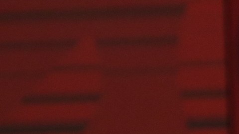AMLO llama a legisladores de oposición a “rebelarse” para aprobar Reforma Eléctrica y “no ser traidores a la patria”