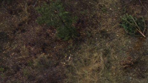 Fuerzas rusas acusadas de entierros secretos de civiles en fosas comunes halladas vía satélite cerca de Mariúpol