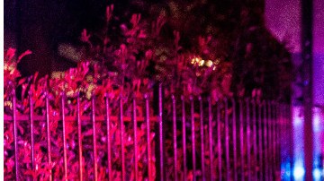 En la casa del hombre encontraron dos cuerpos sin vida.