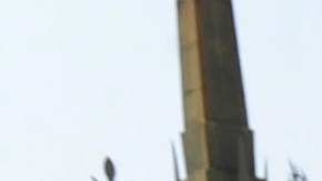 Estelle Harris en el estreno de "Toy Story 3".