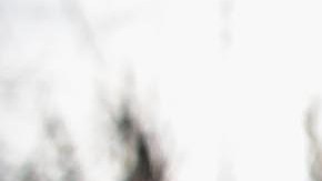 Los familiares y vecino del hombre dicen que él es un pilar en su comunidad y que hace unos meses celebró una fiesta de Navidad para los niños del vecindario.