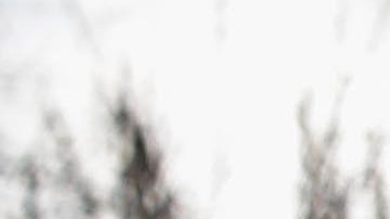 Los familiares y vecino del hombre dicen que él es un pilar en su comunidad y que hace unos meses celebró una fiesta de Navidad para los niños del vecindario.