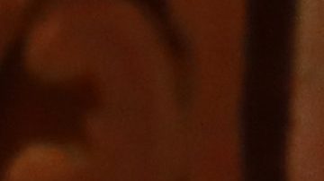 Pepe Aguilar y Ángela Aguilar | JC Olivera/Getty Images.