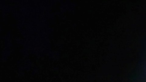 En 2012, en el Festival de Cine de Cannes, declaró que se retira parcialmente de las películas de acción porque ahora necesita cuidar su cuerpo.