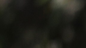 Acusan a exempleado de Patrulla Fronteriza de golpear en la cara a inmigrante