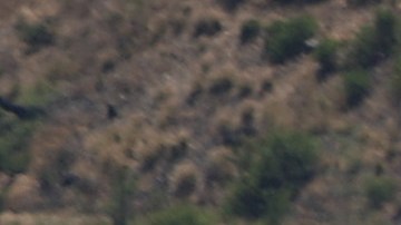 LOS ANGELES, CA - JULY 16: California Highway Patrol officers are seen on one of the busiest freeways in California, the 405, which stands vacant while workers demolish the south side of Mulholland overpass on the freeway during the 53-hour total freeway closure dubbed "Carmageddon" for the resulting massive traffic disruptions expected throughout the region, on July 16, 2011 in Los Angeles, California. The bridge is being demolished part of a $1 billion project to add carpool lanes and make other improvements along the 405 freeway from Orange County to the city of San Fernando. (Photo by David McNew/Getty Images)