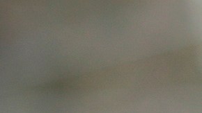 USCIS amplía formularios en línea