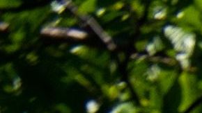 El Tribunal Supremo de Estados Unidos en Washington D.C.