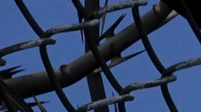 Imagen ilustrativa de una prisión