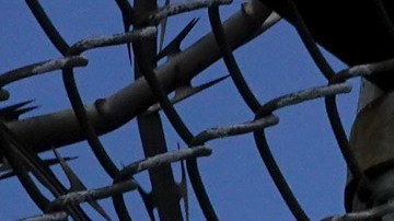 Imagen ilustrativa de una prisión