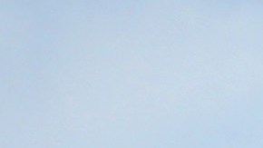 Harvard reconoce sus lazos con la esclavitud y crea fondo millonario para repararlos