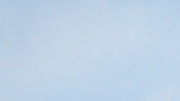 Harvard reconoce sus lazos con la esclavitud y crea fondo millonario para repararlos