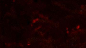 Incendios en Nuevo México