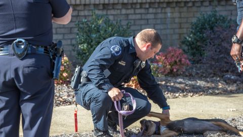 Perro policía muere en tiroteo, hombre armado también pierde la vida